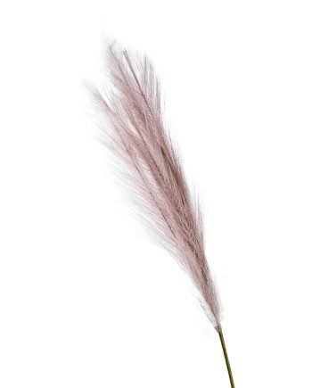 Umjetno cvijeće - Pampas - 80 cm - Brončana